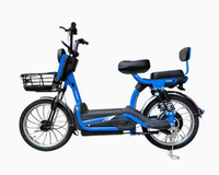 Vélo Électrique Free Wind 48V avec Batterie Plomb-acide, Moteur Arrière, Autonomie 55-65km, E-Bike Transfrontalier, Fourniture Directe Usine 60km