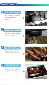 Depiladora de Aves de Corral, Pollos Pequeños y Codornices, Directo de Fábrica, Alta Calidad, Motor Automático con Rodamientos, Máquina de Depilación Fácil de Operar 2 - Product Image 2