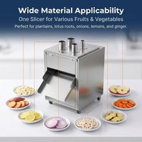 Industriële fruit- en groentesnijmachine, commerciële elektrische snijmachine voor bananen, aardappelen, appels, sinaasappels, citroenen, komkommers, wortelen, van roestvrij staal