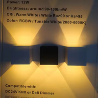 Applique murale LED d'extérieur 24V 12W RGBW IP65, éclairage mural moderne LED intelligent, arbre Loxone, KNX DALI Tuya, Wifi, contrôle DMX