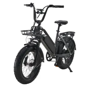 20 인치 지방 타이어 1000w 전기 자전거 Led 빛 52v 15AH LG 21700 리튬 배터리 전기 눈 자전거 FIGOO