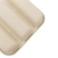 Emballage jetable naturel de pâte de canne à sucre bagasse mexique boîte à tacos