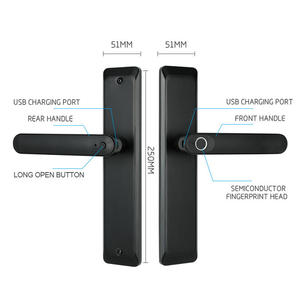 Aien Vàng-Màu Nhà Thông Minh Brass Khóa Cửa Điện Xử Lý Tuya Sinh Học Gỗ Nhôm Thép Wifi Ứng Dụng Kết Nối Đám Mây Lưu Trữ Dữ Liệu - Product Image 2