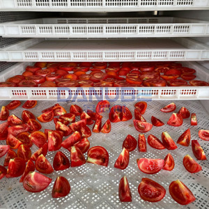 Nouvelle technologie de sécheuse à tomates, ligne de production de séchage de tomates, équipement de déshydratation de tomates - Product Image 3