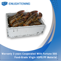 Panier à homards empilable en plastique de qualité alimentaire 605x390x350mm pour les importateurs mondiaux en gros