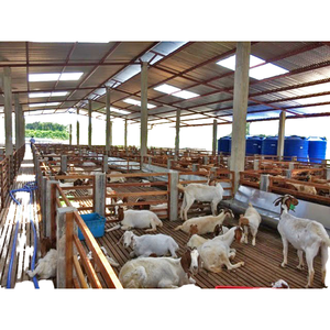 Tùy chỉnh được thiết kế thép hội thảo đúc sẵn chăn nuôi nơi trú ẩn đổ nuôi cừu dê ánh sáng kho Hàn chế biến - Product Image 1