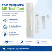 Avian Mycoplasma Gallisepticum (MG) Antigen Schnelltest-Karte Professionelles Diagnostik-Kit mit Kolloidalem Gold für Geflügeltests
