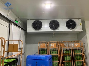 Conteneur frigorifique 20 pieds, <span class=keywords><strong>chambre</strong></span> <span class=keywords><strong>froide</strong></span>, <span class=keywords><strong>chambre</strong></span> <span class=keywords><strong>froide</strong></span>/congélateur avec unité de condensation frigorifique - Product Image 3