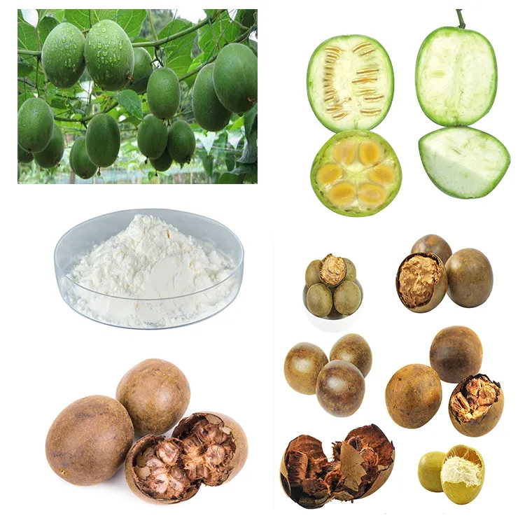 Yidhong — poudre de fruits de singe organique, extrait de fruits de montagne