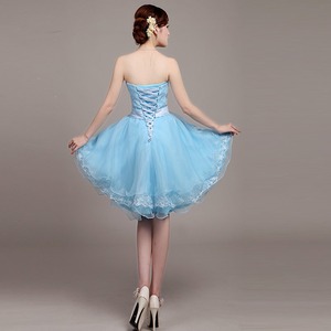 Cocktail Dress Strapless High Low Tulle Sky Blue Asymmetric Short Front Long Back Women's Party Dress - Product Image 3