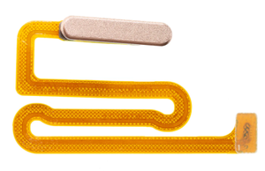 Cable Flexible para Botón <span class=keywords><strong>de</strong></span> <span class=keywords><strong>Encendido</strong></span>/Apagado y Botón <span class=keywords><strong>de</strong></span> Inicio, Sin Sensor <span class=keywords><strong>de</strong></span> Huella Digital ni Touch ID, para <span class=keywords><strong>Samsung</strong></span> Galaxy <span class=keywords><strong>A12</strong></span> A125 M12S M127 - Product Image 5