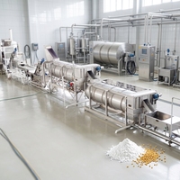Aardappelchips productielijn turnkey installatie met personeelsopleiding en wereldwijde service voor de start van een nieuwe voedingsmiddelenfabriek