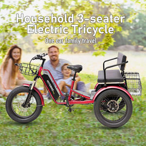 Tricycle passager à moteur arrière 48V haute performance 750W, deux places avec panier, vélo <span class=keywords><strong>cargo</strong></span> électrique à trois roues à queue longue - Product Image 4