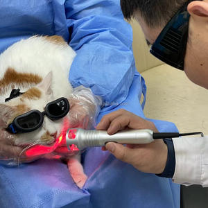 Laser terapi Diowave genggam, peralatan dokter hewan terapi sinar merah rambut Laser terapi Diode genggam - Product Image 4