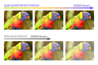 7HP-CAPQLED Quantum Dot Display 7 pulgadas táctil capacitiva 1024x600 Software exclusivo 1080p Audio OSD Menú Soporte Consolas PC