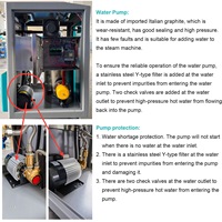 Nettoyeur Vapeur Haute Température Anti-Bactérien pour l'Intérieur des Voitures et la Stérilisation des Grilles d'Aération, Certifié CE 220V/380V