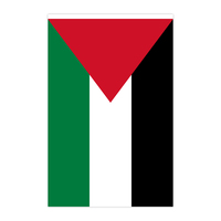Ventes directes des fabricants 14*21cm Drapeaux de Palestine pour les fans Décoration de vacances