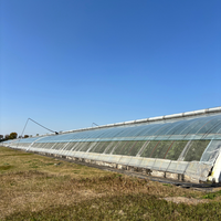 Serre agricole commerciale intelligente de grande taille à plusieurs travées, système hydroponique, bâche de couverture, largeur de baie de 4 m, galvanisation à chaud