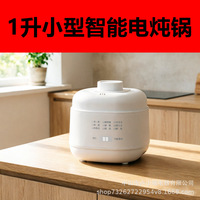 Marmite Électrique Automatique en Céramique 200W, Mini Cuiseur à Soupe avec Protection Anti-Brûlure et Anti-Surchauffe pour Usage Domestique