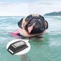 Collier GPS GSM 4G pour chien de chasse - Traceur haute précision, alarme géofence, application de suivi d'activité