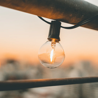 Guirlande lumineuse LED en plastique en gros d'usine, 25 ampoules globe G40, 7,6 m, résistante aux intempéries, décorations d'extérieur