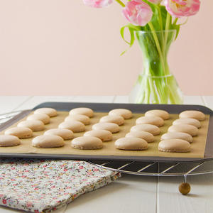 Tapis de cuisson de gâteau antiadhésif multi-usages résistant aux hautes températures mince Transparent Ptfe <span class=keywords><strong>toile</strong></span> <span class=keywords><strong>cirée</strong></span> Tefloning <span class=keywords><strong>cuisine</strong></span> extérieure - Product Image 4