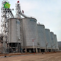 Büyük Ölçekli Düz Tabanlı Tahıl Depolama Silosu Oluklu Galvaniz Çelikten Tahıl Deposu ve Lojistik İçin 3000-20000 Ton