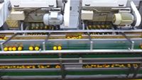 Voedselveilige PLC-gestuurde citruspers voor fruitverwerkingsbedrijven, productielijn voor vers sinaasappelsap