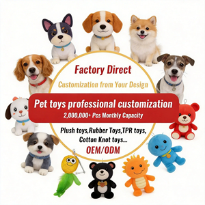 Fabricante OEM, Peluches Personalizados, Muñecos de Ídolos, Peluches Derivados de Películas y Mascotas - Product Image 5