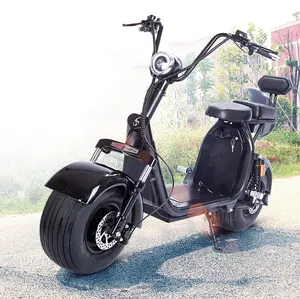 High Performance Electric Golf Scooter Eu Warehouse OEM EEC Fat Tire 3000w Citycoco Scooter Electric Motorcycle