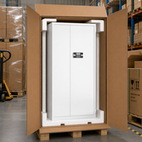 Archivador de Seguridad de Chapa Metálica de Cuerpo Completo con Contraseña, Envío Directo de Fábrica, para Uso en Oficina