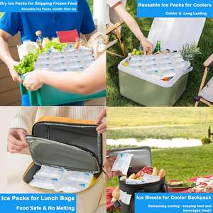 एकल उपयोग नरम वितरण परिवहन के लिए छोटे मिनी खाद्य ग्रेड पानी सूखी जेल बर्फ पैक शीट - Product Image 3