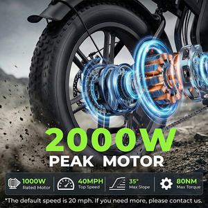 Envío Rápido F6S DTTZH, Stock en EE. UU., Envío Rápido desde Almacén en EE. UU., Bicicleta Eléctrica NFC 48V 25AH 20 Pulgadas de Acero al Carbono para Adultos - Product Image 2