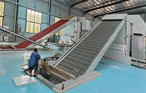 Séchoir à chili industriel de grande capacité en Chine Machine de séchage de chili entièrement automatique - Product Image 3