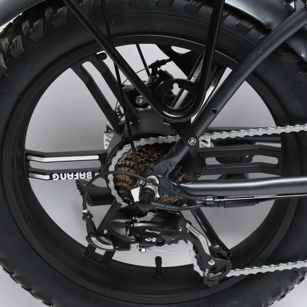 TXED electric bike 20 inch 48V 250W aluminum alloy frame folding fat tire e bike electric bicycle for adults
