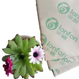 55G -- 120G bond paper from LONFON/chenming /APP