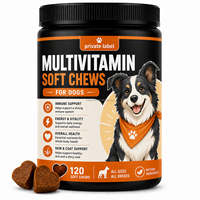 OEM/ODM – Nouvelles gommes multivitaminées 15-en-1 sans céréales pour chiens et chats de toutes races – Améliore la santé digestive et l'immunité