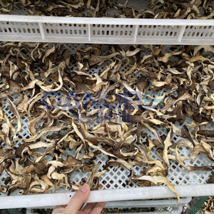 Séchoir à champignons à température réglable, four de séchage à pompe à chaleur, déshydrateur de champignons professionnel - Product Image 2