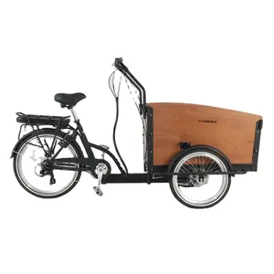 factory electric cargo bike three wheel trailer family tricycle steel frame trike