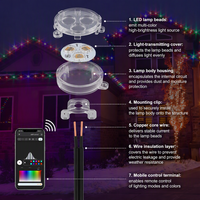 Lampu Natal LED Pixel Outdoor yang Dapat Diatur UCS2904 WS2811 Kontrol Aplikasi Logo Kustom