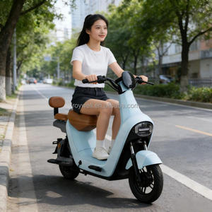 Motocicleta Eléctrica de Alto Rendimiento con Motor de 400W para Dos Personas, Cuadro de Acero, Scooter Eléctrico de 2 Ruedas - Product Image 1