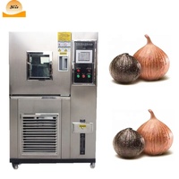 Boîte de fermentation coréenne Machine à ail noir