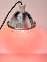 Lampe chauffante de poulet en aluminium de 10 \ "pour reptiles et volailles avec clip produit d'éclairage de poulet