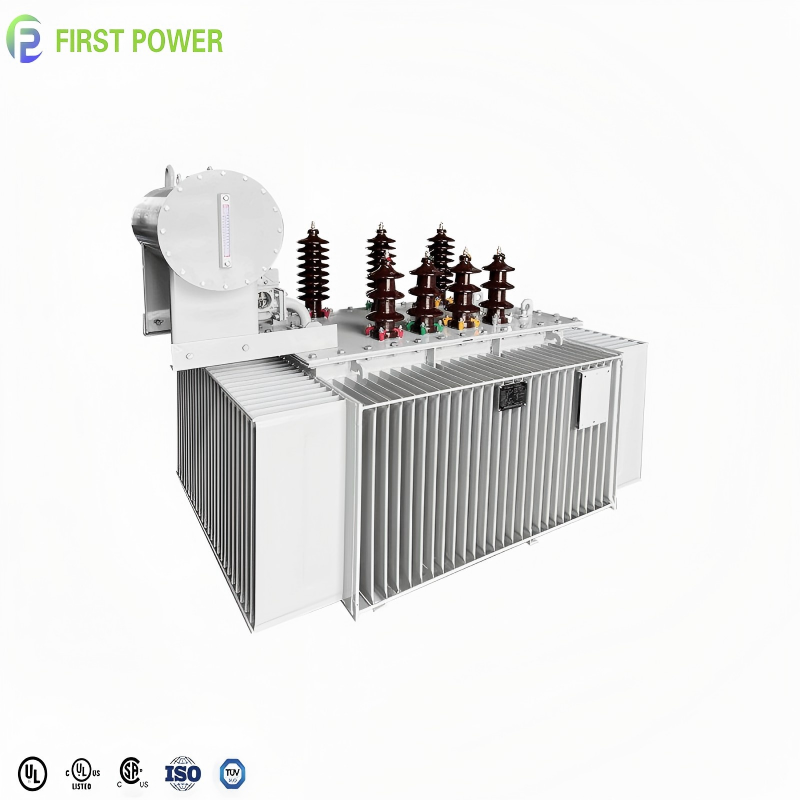 IEEE Standard 50 60HZ 6KV 10KV
