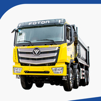 Camion à benne basculante Foton Auman EST 8x4 à 12 roues et 24 mètres cubes