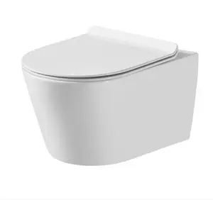 Superior Quality Factory Supplier European standard two piece toilet bathroom ceramic wall hung toilet