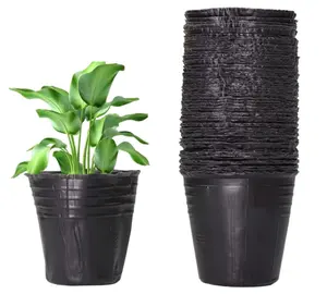 6cm PE nursery pots flexible