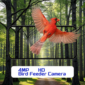 Nouveau modèle de mangeoire à oiseaux intelligente en ABS avec vidéo ultra-HD 4MP, classificateur d'oiseaux intelligent par IA et prise en charge de l'application <span class=keywords><strong>VicoHome</strong></span> - Product Image 2