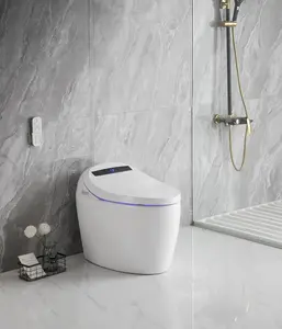 Ceramic Floor Mounted Toilet White Clean Dry Seat Heating Toilet Without Water Tank Bathroom Smart Intelligent Toilet