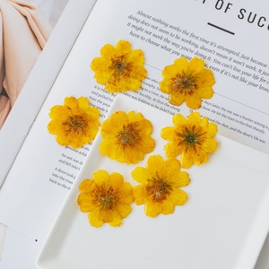 Venta de Material para Colgante DIY de Crisantemo Rizado, Cabeza de Flor de Resina Real, Accesorios Hechos a Mano Estilo Bosque de Hadas <span class=keywords><strong>Cosmos</strong></span> - Product Image 3